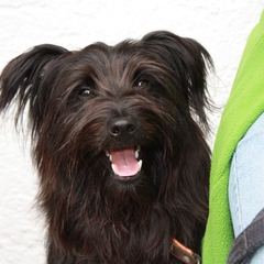 Urlaub im Allgäu (10)